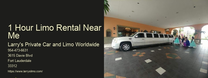 9 Passenger Limo Rental