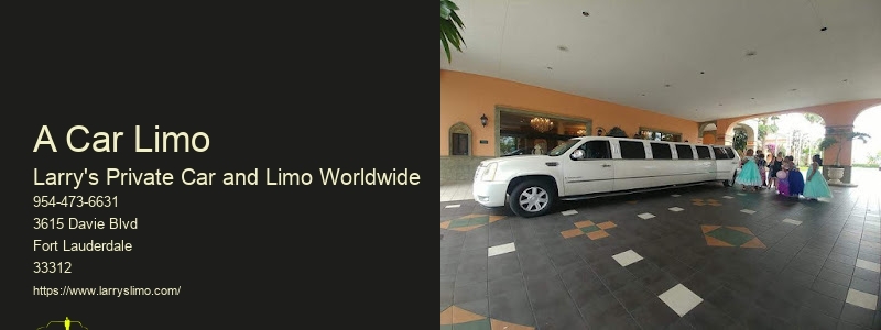 International Limo Service